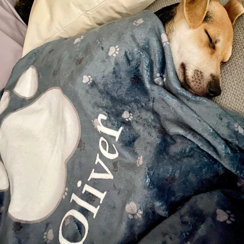 Door Gebruikers Gecreëerde Inhoud Gebruikersbeoordelingen