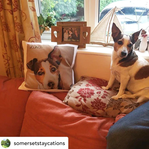 Door Gebruikers Gecreëerde Inhoud Gebruikersbeoordelingen