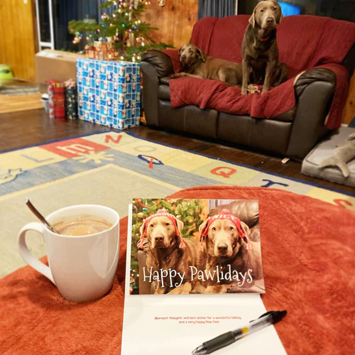 Gebruikersgegenereerde inhoud Gebruikersrecensies