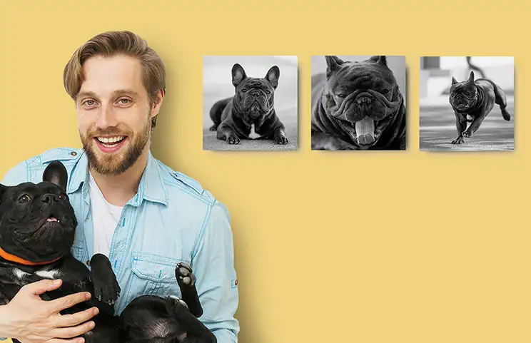 Fototegels|Gepersonaliseerde Fototegels|Gepersonaliseerde Fototegels|Gepersonaliseerde Fototegels|Gepersonaliseerde Fototegels|Gepersonaliseerde Fototegels|||||