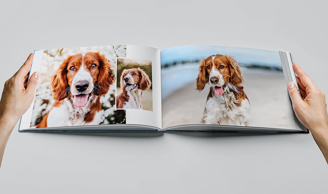 Grote Stoffen Fotoalbums