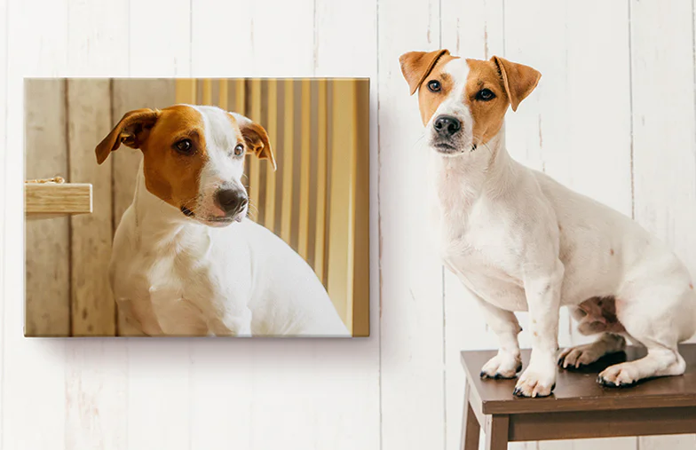 Gepersonaliseerde Foto Canvas Prints van Printerpix|Gepersonaliseerde Canvas Prints|Gepersonaliseerde Canvas Prints|Gepersonaliseerde Canvas Prints|Gepersonaliseerde Canvas Prints|Gepersonaliseerde Canvas Prints|||||