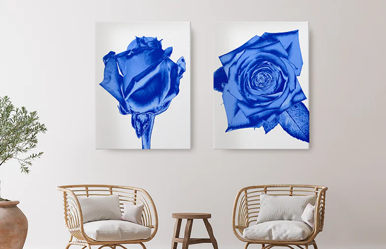 Collage canvas afdruk van twee verheugde vrouwelijke vrienden