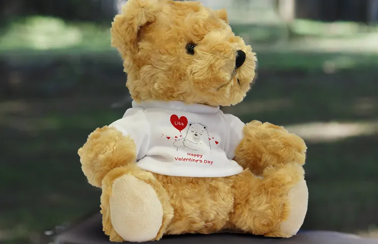 Foto Teddyberen