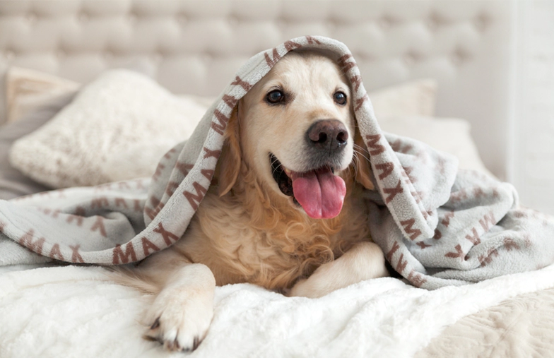 Grote fotodeken op tweepersoonsbed met foto van meisje