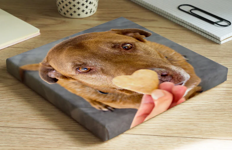 Huisdierfoto Canvas Afdrukken
