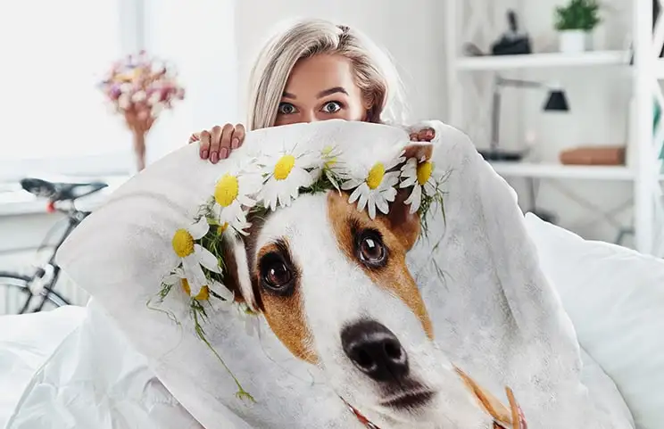 Roze en witte Printerpix mink touch fotofleecedeken met foto van hond