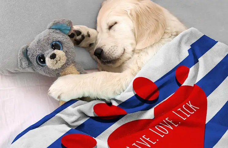 Puppy in bed met aangepaste honden deken met gepersonaliseerd tekstontwerp