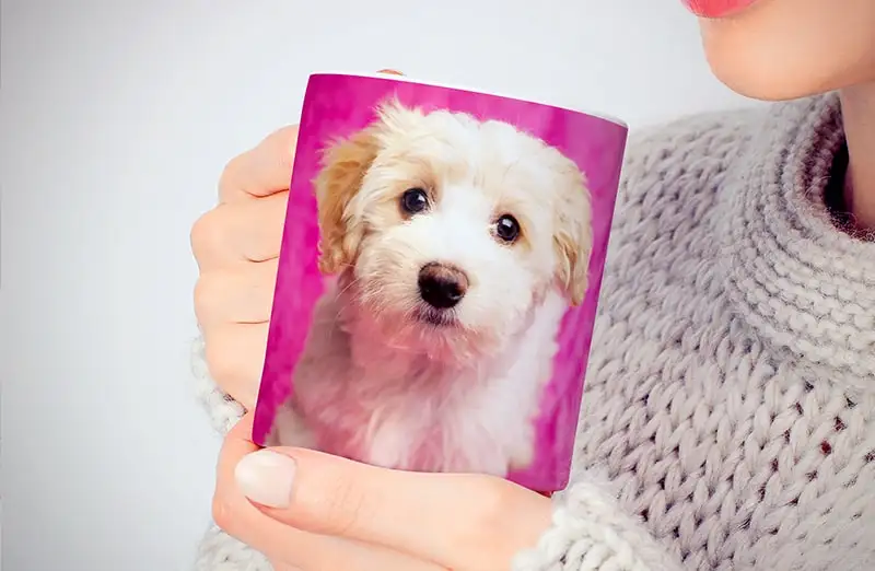 Gepersonaliseerde fotomok met je eigen foto van een hond