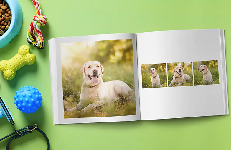 Moderne Momenten in Wit Fotoboek