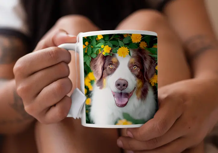 Gepersonaliseerde fotomok met je eigen foto van een hond
