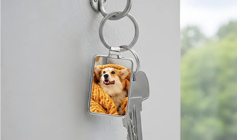 Gemakkelijk online ontwerpen