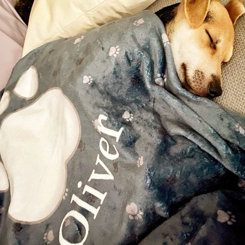 Ik was aangenaam verrast door hoeveel mijn hond ervan houdt om onder zijn deken te liggen. De kwaliteit is echt goed en het materiaal is ongelooflijk zacht. Fantastische service.